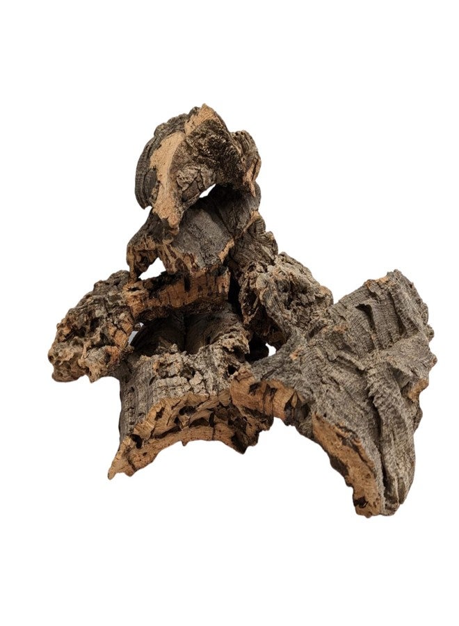 DBDPet Virgin Reptile Cork Bark- Assorted Pieces (Rounds, Half Rounds, and Flats by Weight) for Reptiles, Amphibians, Orchids, Frogs, Terrariums and More! (1lb of Assorted Pieces) - Image 3